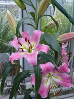 Foto: Dr. Peter Müller